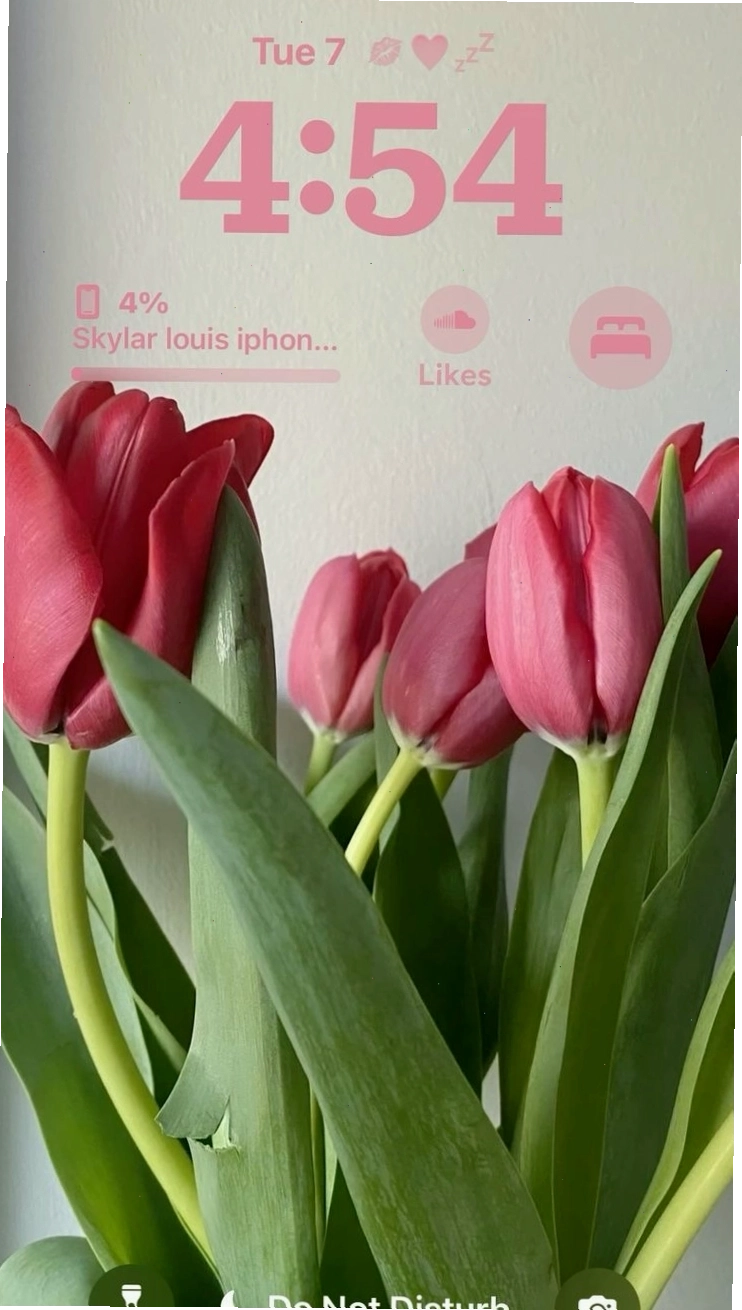 Hình nền hoa tulip chill vẽ phong cách tối giản