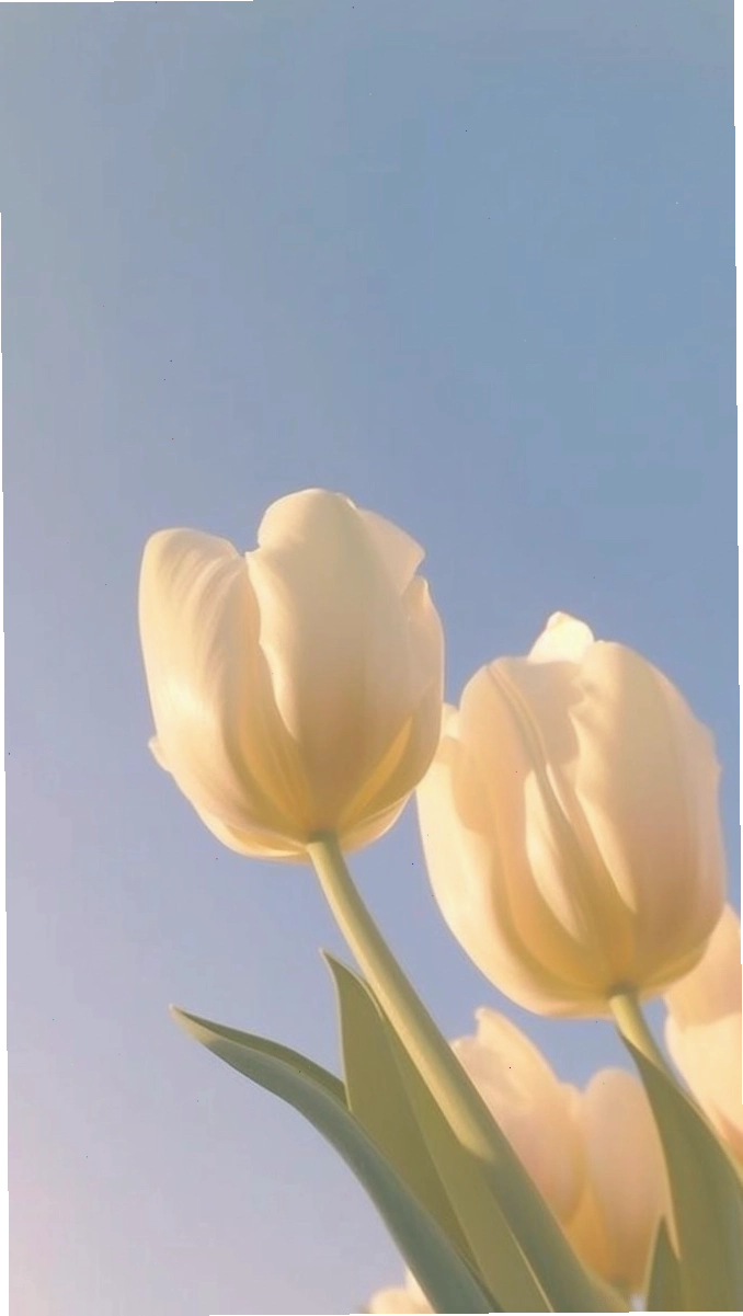 Hình nền hoa tulip chill vẽ tạo cảm giác thư thái