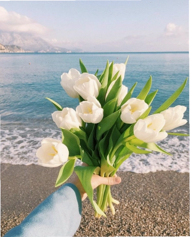 Hình nền hoa tulip chill vẽ với tông màu ấm áp