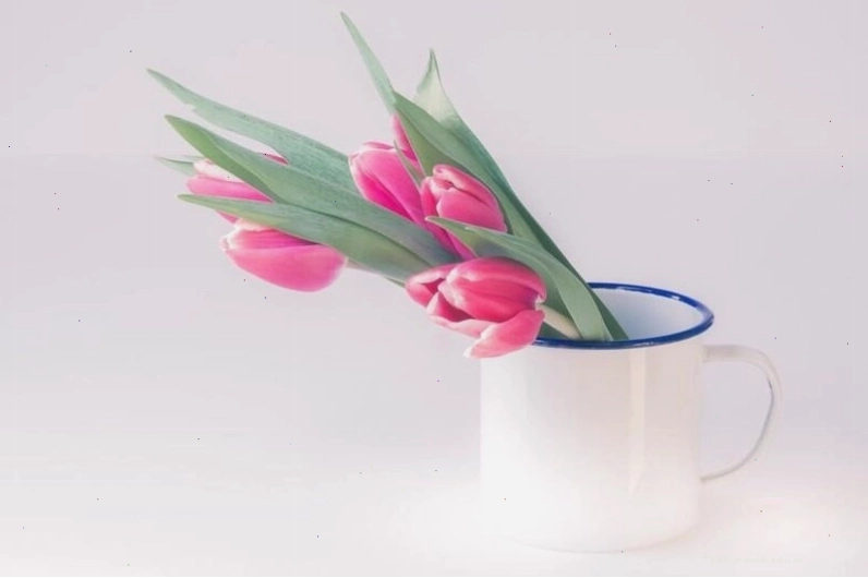 Hình nền hoa tulip phong cách nghệ thuật trừu tượng