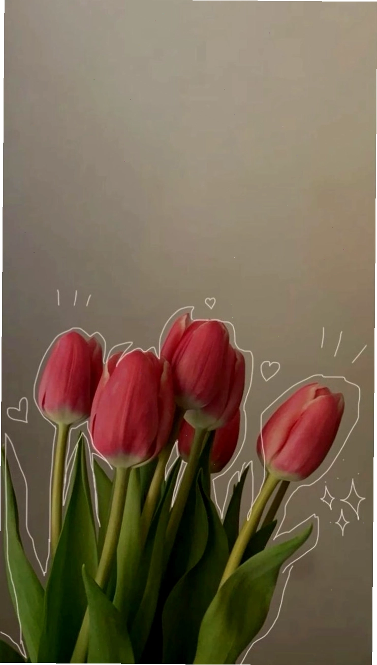 Hình nền hoa tulip vẽ chill với màu sắc hài hòa
