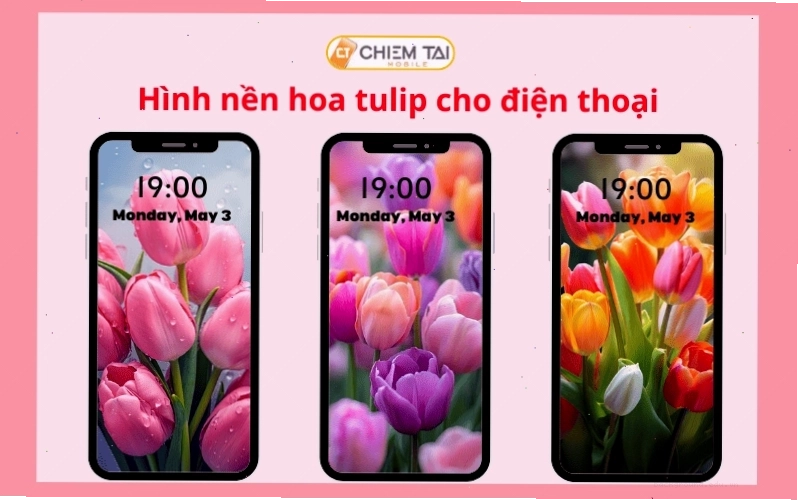 Hình nền hoa tulip vẽ cho điện thoại với tông màu tươi sáng