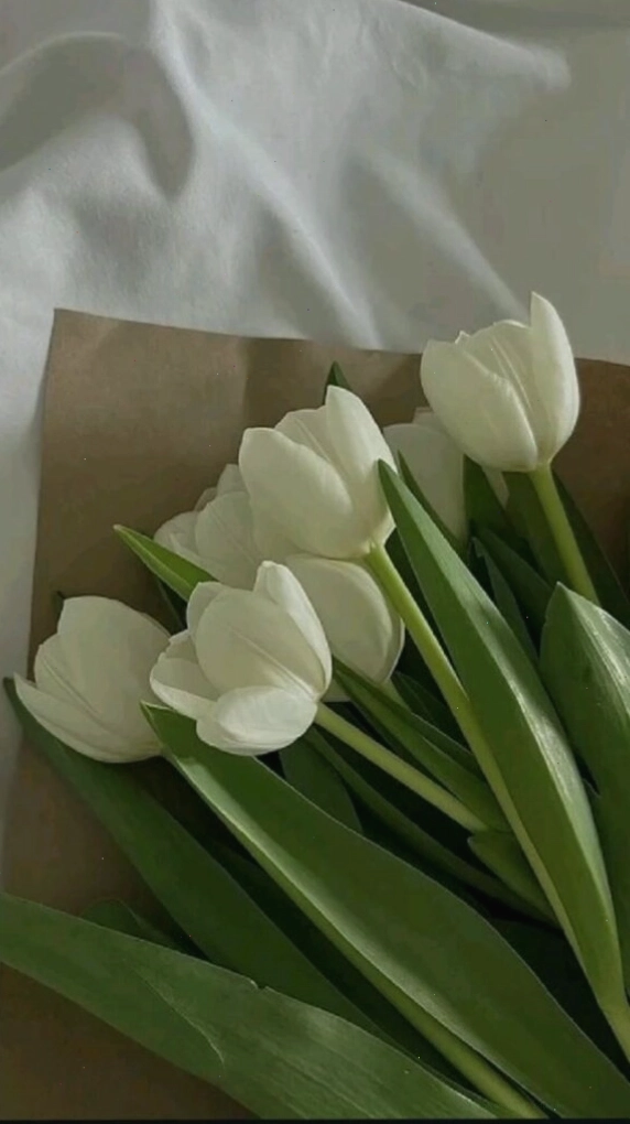 Hình nền hoa tulip vẽ tay theo phong cách màu nước