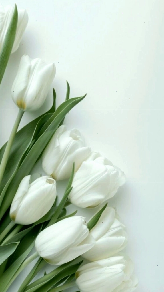Hình nền hoa tulip xanh dương dịu mát, mang lại cảm giác thư thái