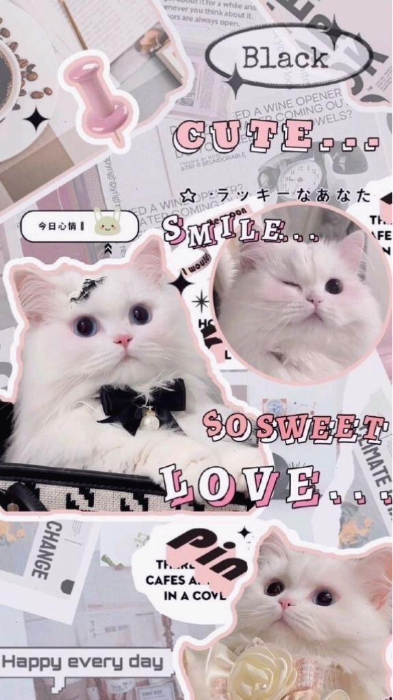 Hình nền màu xanh dương cute với các sinh vật biển