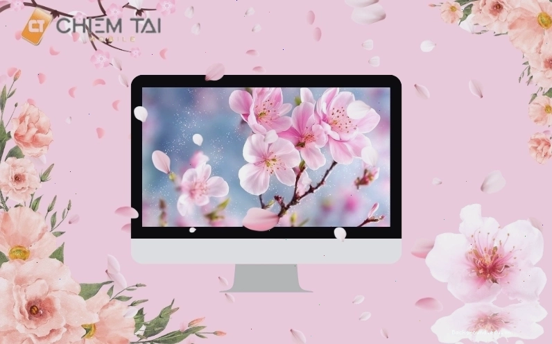 Hình nền máy tính hoa anh đào 4K với cảnh sắc mùa xuân