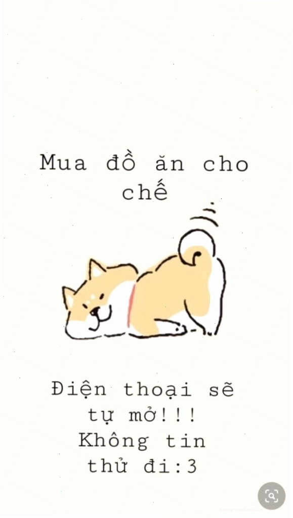 Hình nền ngang cute với chú mèo con đáng yêu