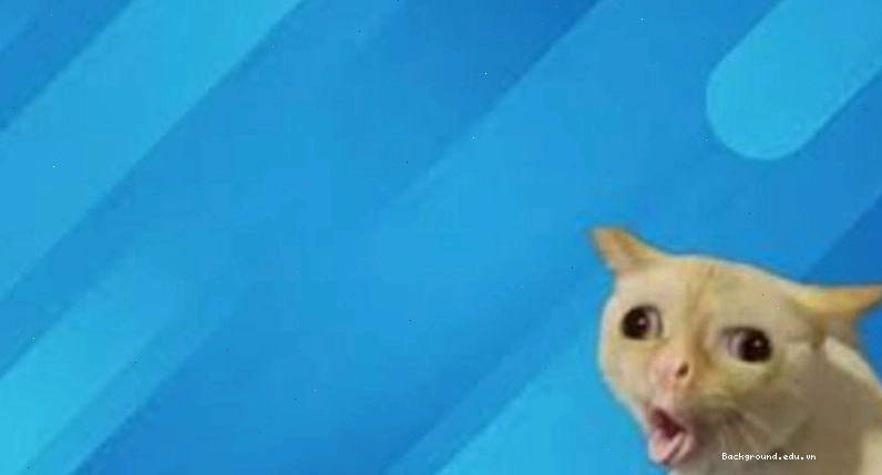 Hình nền nghệ thuật 3D với yếu tố meme