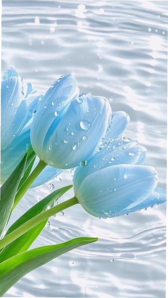 Hình nền tulip xanh dưới làn nước trong