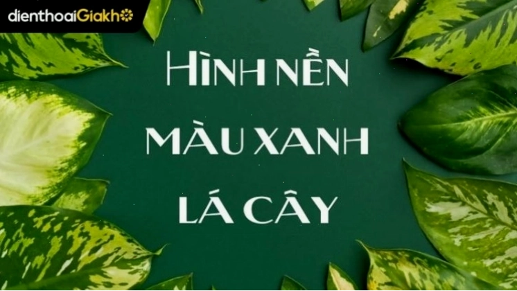 Hình nền xanh lá cây cho máy tính với cảnh rừng cây hùng vĩ