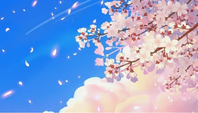 Khung cảnh anime mùa hoa anh đào nở rộ