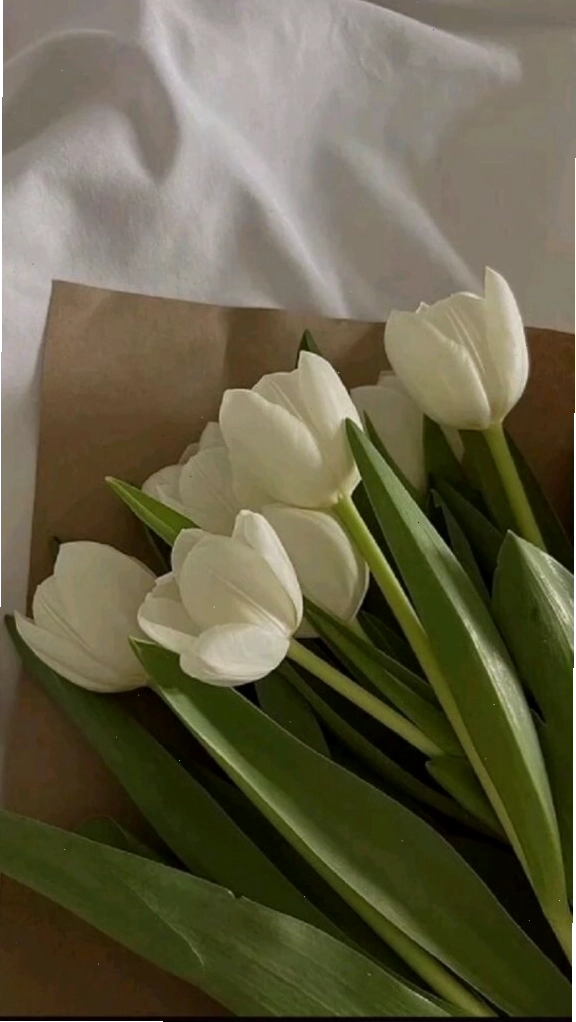 Nhiều bông hoa tulip xanh xếp cạnh nhau tạo thành một bức tranh sống động