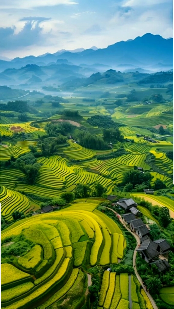 Ruộng bậc thang xanh mướt bao phủ sườn núi