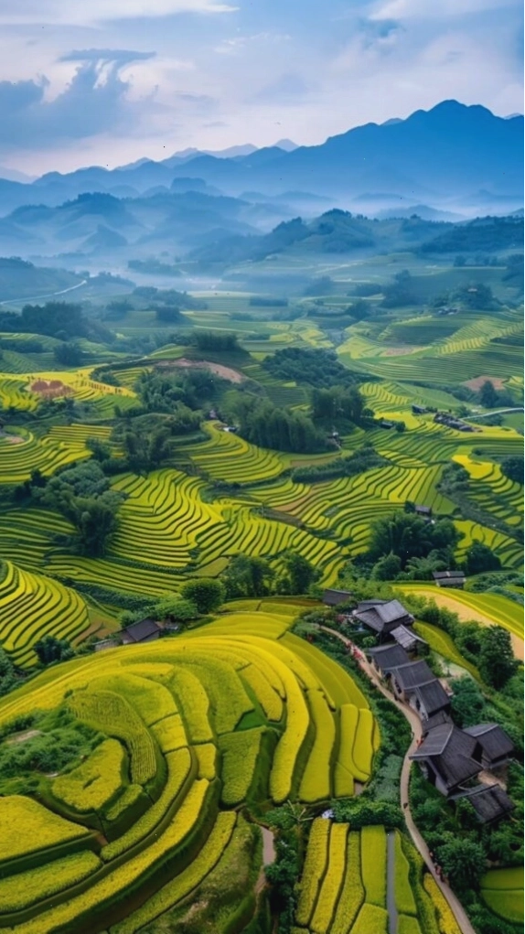 Ruộng bậc thang xanh mướt làm ảnh nền máy tính gợi vẻ đẹp Việt Nam