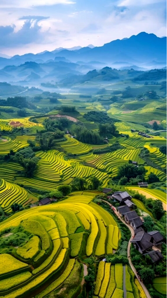 Ruộng bậc thang xanh mướt trải dài giữa núi rừng trùng điệp