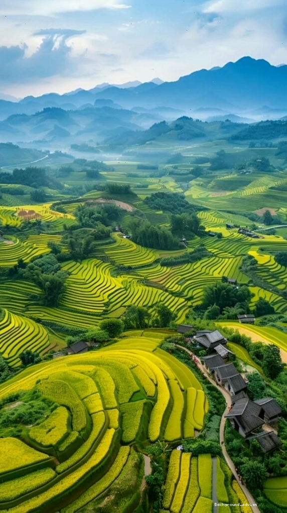 Ruộng bậc thang xanh mướt với ánh sáng huyền ảo