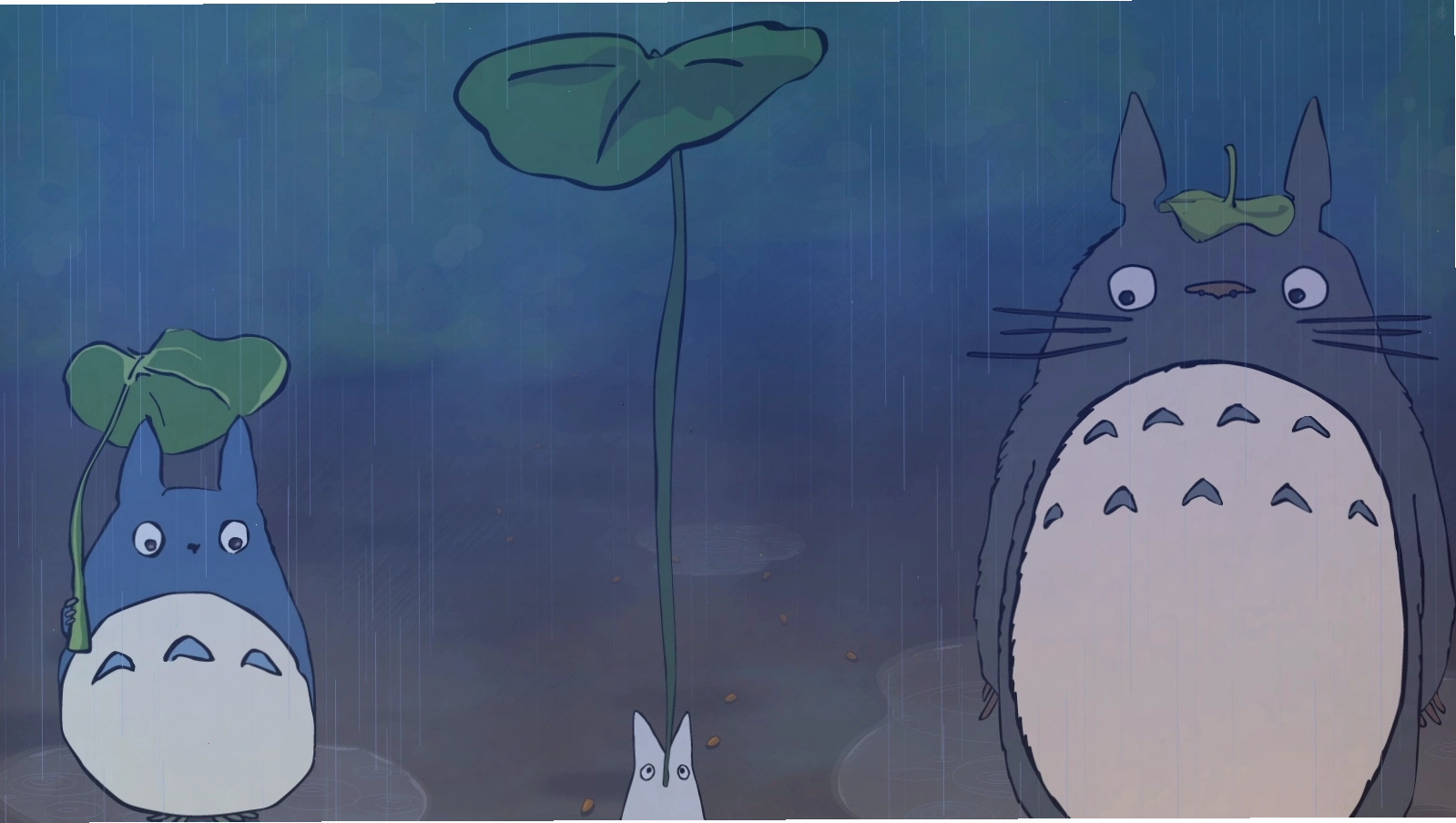 Totoro và những người bạn nhỏ trong khu rừng