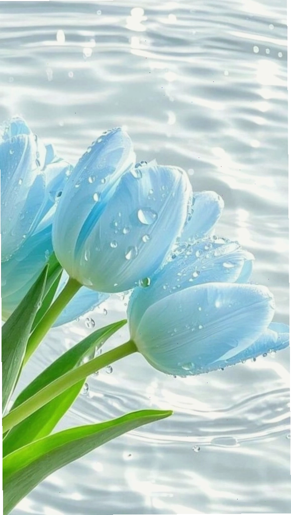 Tulip xanh dưới làn nước trong vắt