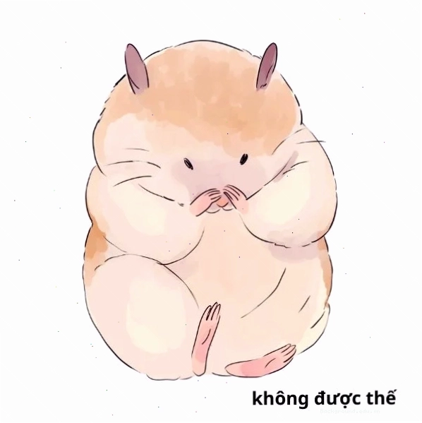 ảnh meme không được thế mang tính răn đe hài hước