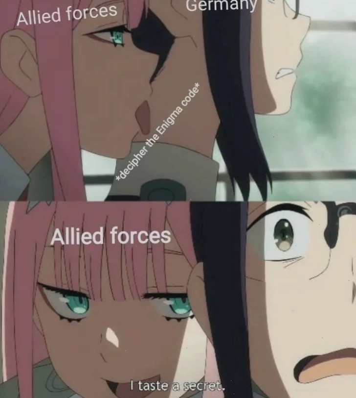 Creative anime girl historical meme collection