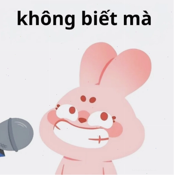 không biết meme với biểu cảm đầy bí ẩn