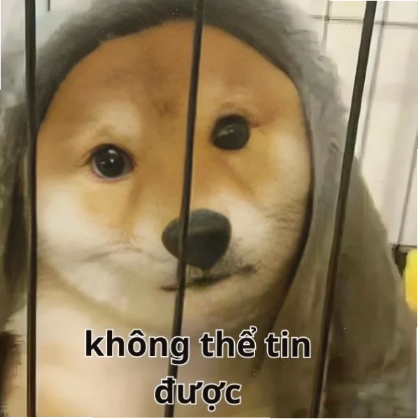 meme không thể tin được với đôi mắt mở to