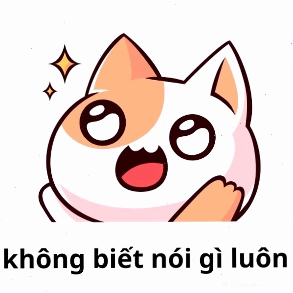 meme mèo không biết nói gì vô cùng đáng yêu