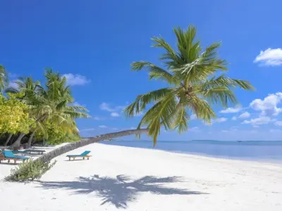 99+ ảnh background bãi biển lung linh, sắc nét đến mê