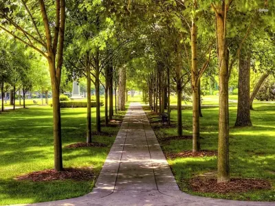 43+ background công viên rực rỡ sắc xanh đầy sức sống