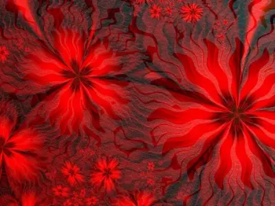 Tổng hợp 50 ảnh background hoa đỏ đẹp chất lượng cao