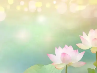 Tổng hợp 50 ảnh background hoa sen đẹp chất lượng cao