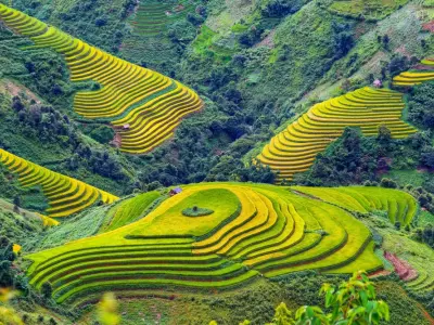 Ngắm 99+ ảnh background ruộng bậc thang thiên nhiên hùng vĩ