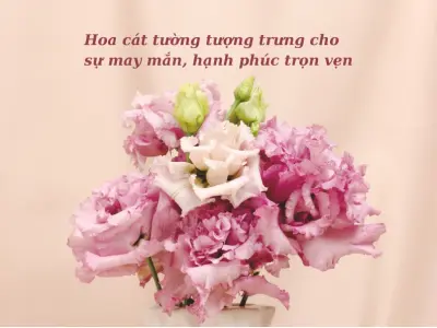 Bộ sưu tập 15 hình nền hoa cát tường rực rỡ sang trọng
