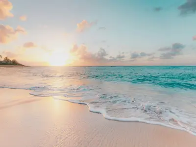 Bộ sưu tập background đẹp cho ảnh chân dung ấn tượng