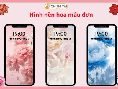 Bộ sưu tập hình nền hoa mẫu đơn tuyệt đẹp cho điện thoại và máy tính