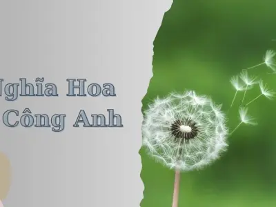 Tổng hợp background hoa bồ công anh đẹp tinh khôi lãng mạn