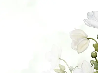 Tổng hợp background tường hoa tuyệt đẹp dành cho thiết kế