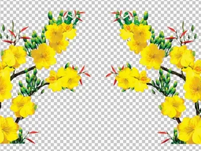 Tổng hợp bộ sưu tập background cây mai rực rỡ đón xuân