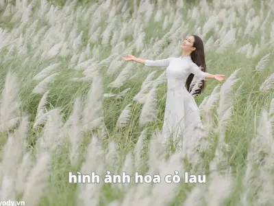 Tổng hợp bộ sưu tập background hoa cỏ mùa xuân nhẹ nhàng tinh tế
