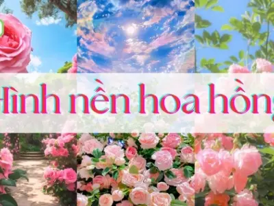 Tổng hợp bộ sưu tập hình nền bông hồng đẹp lãng mạn siêu sắc nét