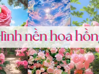 Tổng hợp hình nền điện thoại bông hoa cực đẹp và sắc nét