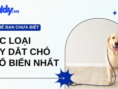 Bí quyết chọn mua dây dắt chó phù hợp nhất cho thú cưng năm 2026