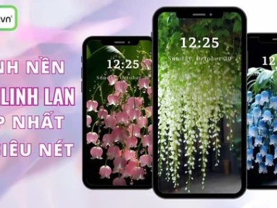 Hình nền hoa linh lan hồng rực rỡ cho điện thoại và máy tính
