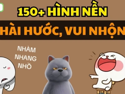 Khám phá Top Hình nền Máy tính Vô tri Cute & Hài hước 2026
