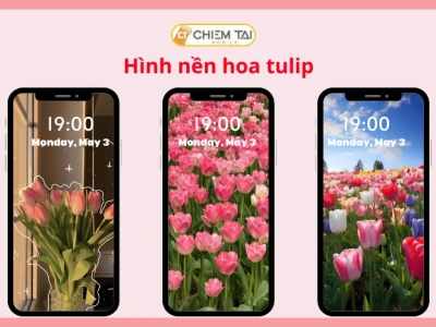 Khám Phá Vẻ Đẹp Tinh Tế Với Hình Nền Hoa Tulip Trắng