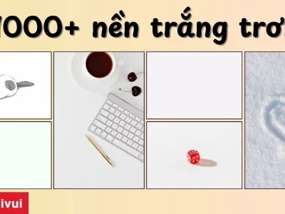 Khám phá vẻ đẹp tinh tế với phông nền trắng trơn