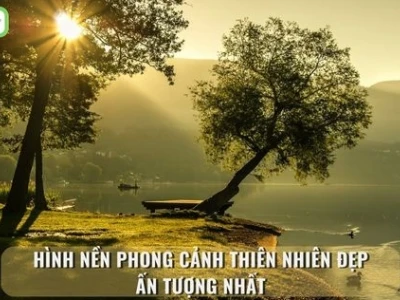 Khám phá vẻ đẹp vô tận: Tuyển tập phông nền thiên nhiên đỉnh cao