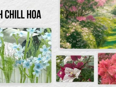 Tải hình nền điện thoại chill hoa: Tuyển tập hình nền hoa tulip đẹp nhất 2026