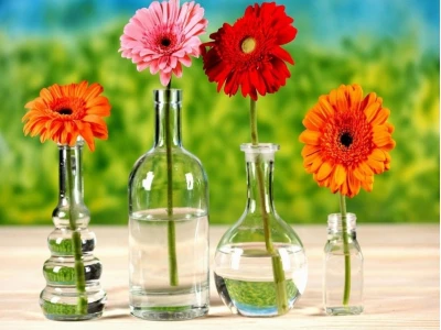Tuyển Chọn Hình Nền Hoa Đồng Tiền Cho Điện Thoại Thêm Sức Sống