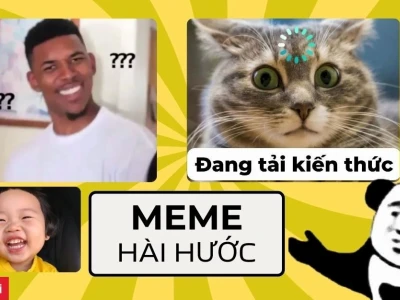 Tuyển Tập Hình Nền Bựa Cute Độc Đáo Cho Năm 2026